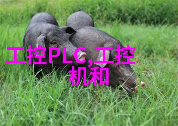 关税博弈激发创新升级思谋工业智能体全链自研 打破高端传感器国际垄断